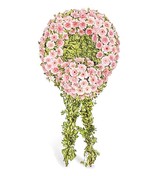 Pembe Cenaze Çelengi